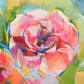 Rose Garden