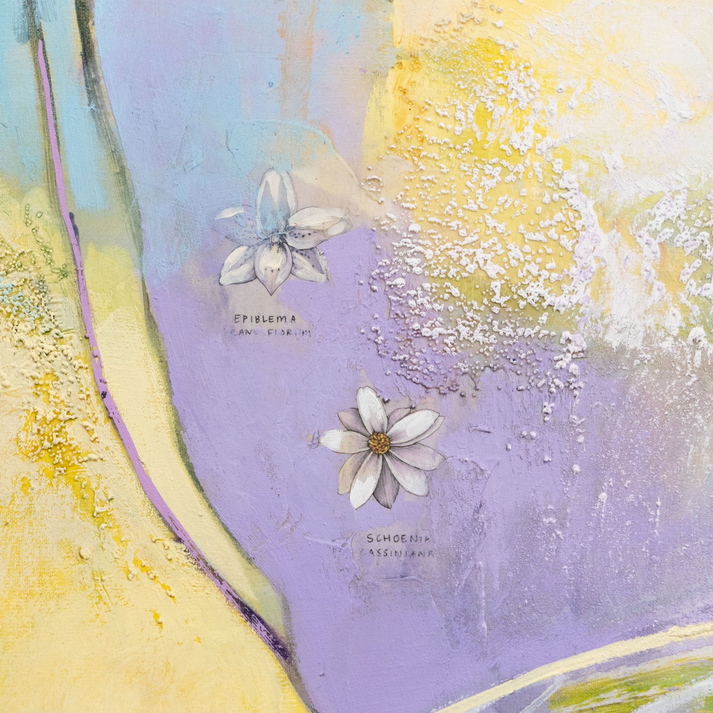 Lavender Fields